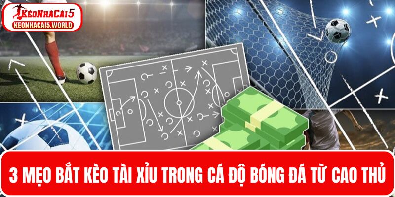 3 Mẹo bắt kèo tài xỉu trong cá cược bóng đá chuẩn nhất