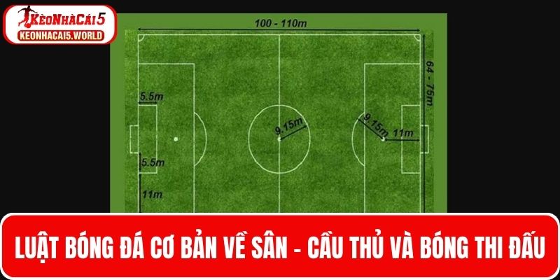 Luật bóng đá cơ bản về sân, cầu thủ và bóng thi đấu