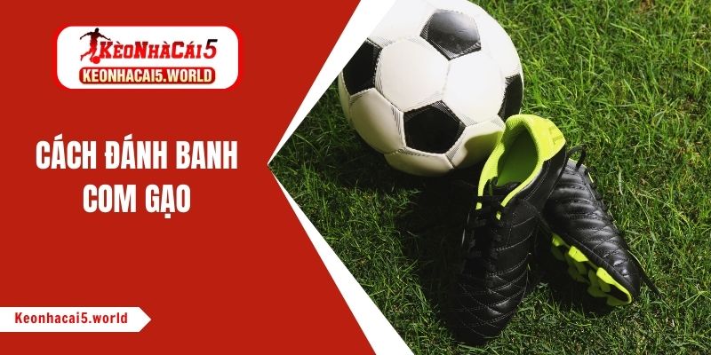 đánh banh com gạo