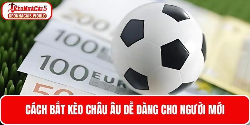 Cách cược này rất đơn giản khi bạn làm theo hướng dẫn