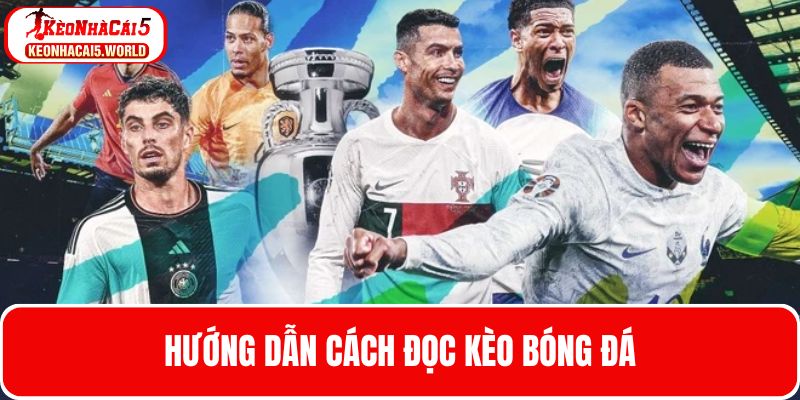 Cách đọc kèo cá cược bóng đá cơ bản cho người mới