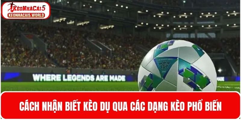 Cách nhận biết kèo dụ qua cá dạng kèo phổ biến