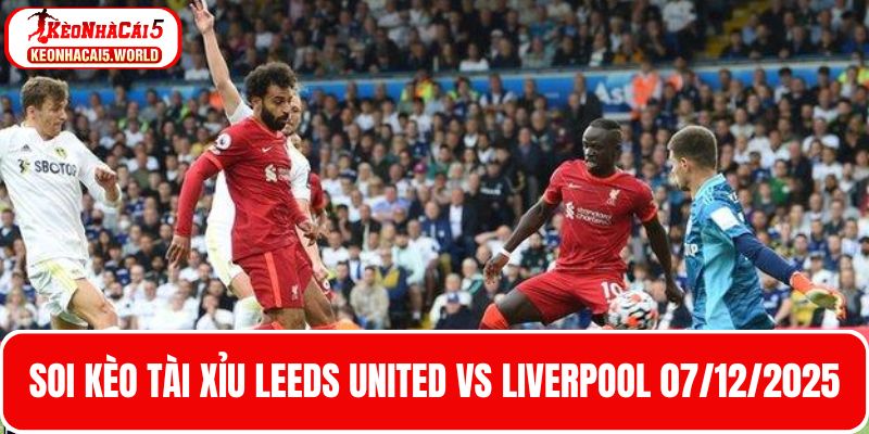 Cập nhật kèo tài xỉu Leeds United vs Liverpool 07/12/2025