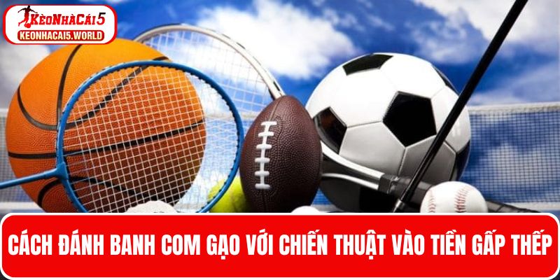 Đánh banh com gạo gấp thếp giúp bạn thu hồi tiền vốn hiệu quả