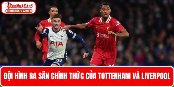 Đội hình ra sân dự kiến của hai đội Tottenham và Liverpool
