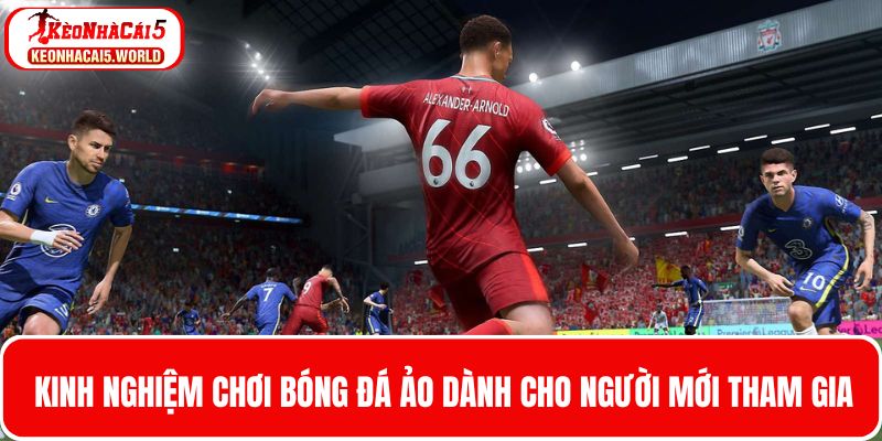 Kinh nghiệm cá cược bóng đá ảo cho các thành viên mới