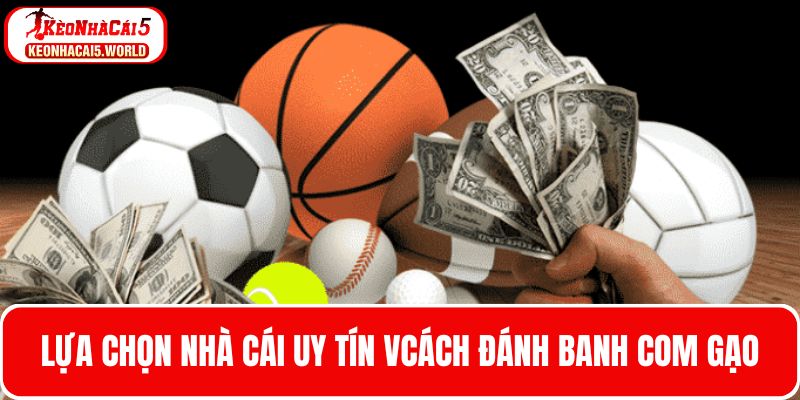 Lựa chọn nhà cái uy tín để áp dụng đánh banh com gạo hiệu quả