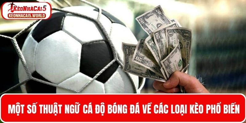 Một số thuật ngữ cá độ bóng đá về các loại kèo phổ biến