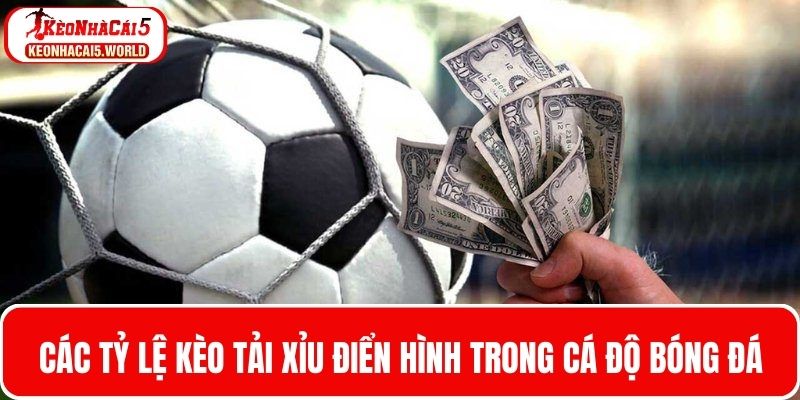 Một số tỷ lệ kèo Tài Xỉu điển hình nhất trong cá cược bóng đá
