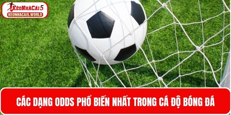 Odds là gì - Các dạng Odds phổ biến trong cá độ bóng đá