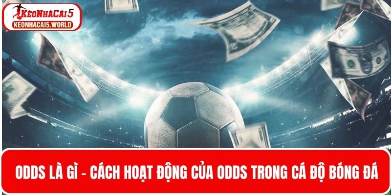 Odds là gì - Cách hoạt động của Odds trong cá độ bóng đá