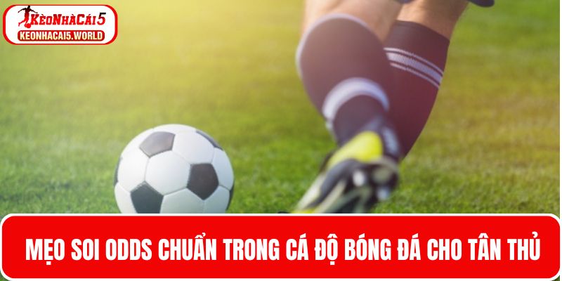 Odds là gì - Mẹo soi Odds chuẩn trong cá cược bóng đá