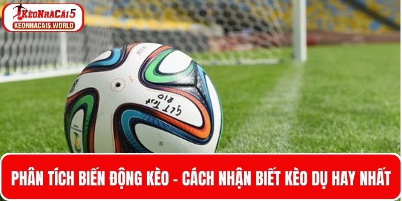 Phân tích biến độ Odds - Cách nhận biết kèo dụ thông minh