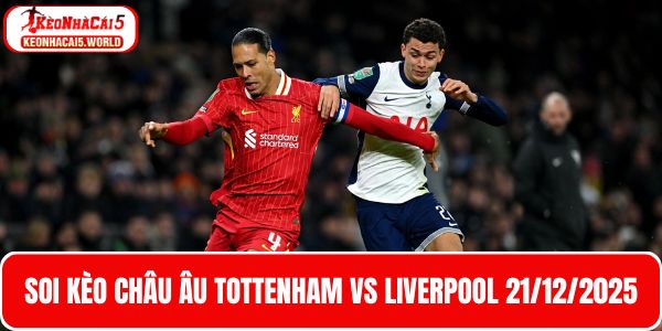 Soi kèo Châu Âu trận bóng Tottenham vs Liverpool 21/12/2025