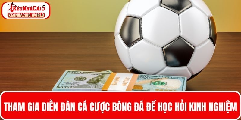 Tham gia diễn đàn cá cược bóng đá để học hỏi kinh nghiệm