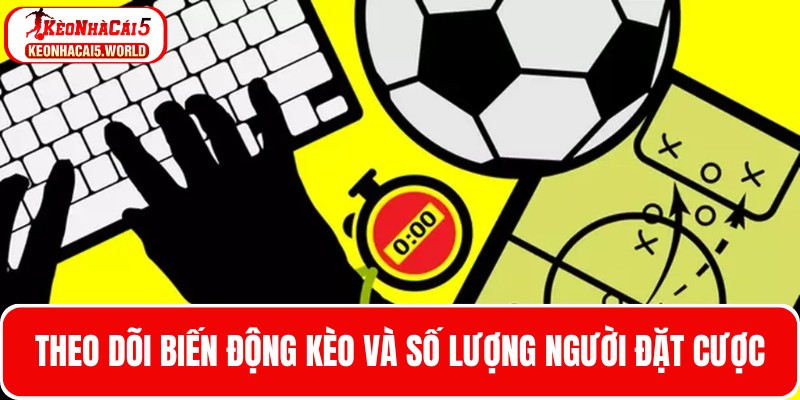 Theo dõi biến động kèo và số lượng người đặt cược