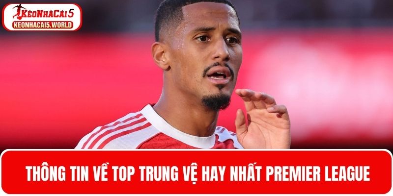 Thông tin về top trung vệ hay nhất Premier League