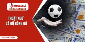 Tổng hợp thuật ngữ cá độ bóng đá cơ bản cho tân thủ 2026