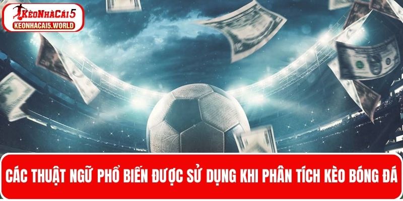 Thuật ngữ cá độ bóng đá thường sử dụng khi phân tích kèo