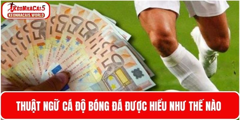 Tìm hiểu khái niệm đơn giản về thuật ngữ cá độ bóng đá