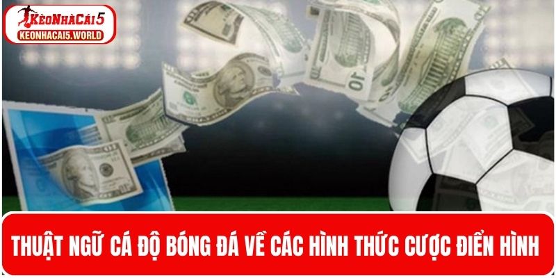 Tìm hiểu thuật ngữ cá độ bóng đá về hình thức cược