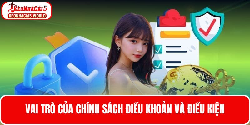 Tìm hiểu vai trò của chính sách điều khoản điều kiện